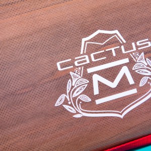 Photo logo Citroën Cactus M Concept – Salon de Francfort 2015