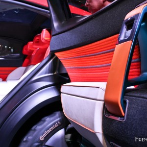 Photo poignée de porte Citroën Aircross Concept – Salon de Fra