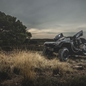 Photo officielle Peugeot 2008 DKR16 (Rallye Dakar 2016)