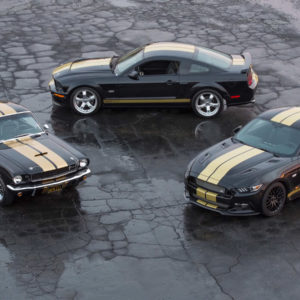 Photo officielle Ford Shelby GT-H (2016)