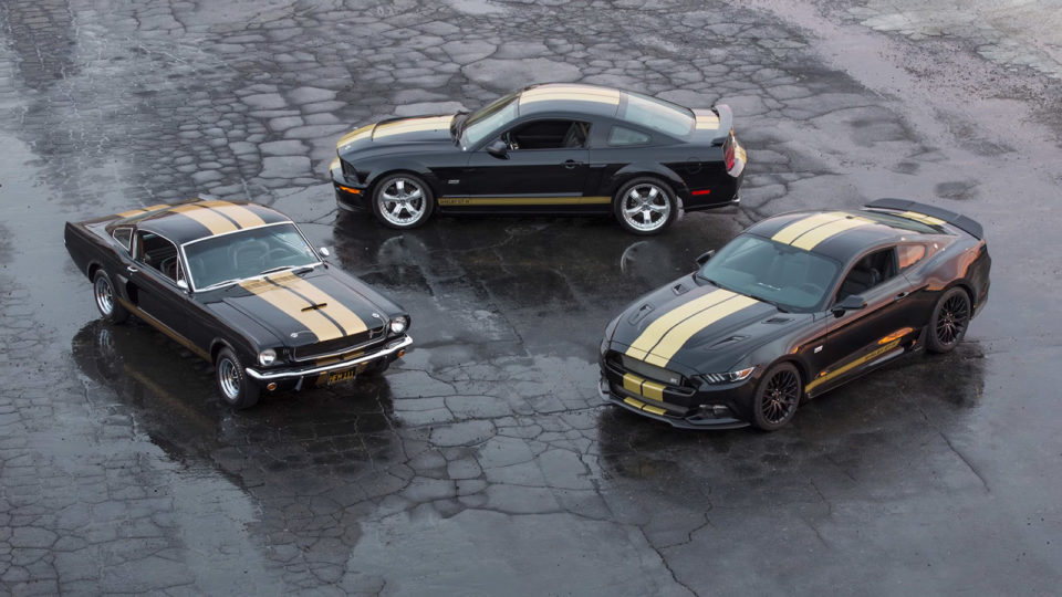 Photo officielle Ford Shelby GT-H (2016)