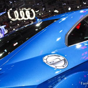 Photo trappe alu Audi TT RS – Mondial de l’Auto de Paris 2016