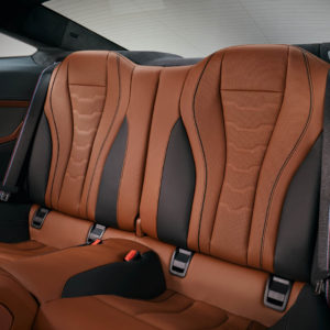 Photo banquette arrière cuir BMW Série 8 Coupé (2018)